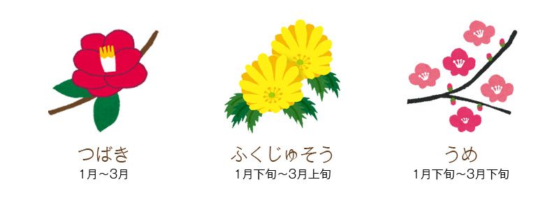 冬の花 冬の花